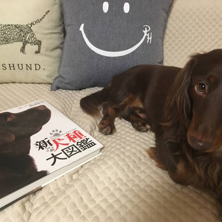 C6ce0908 fd5d 44dd 8daa 894e9f8722ef 1509281906281