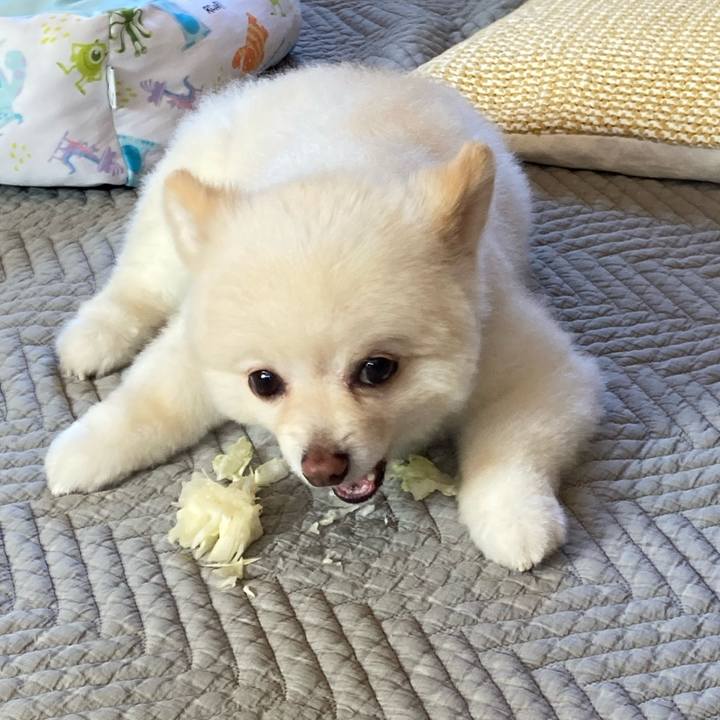 C6cea2f2 5e22 43da 960d f50509f42356 1632008802893