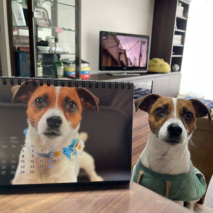 C6ceb54c b823 4bf4 b906 eb7f1a84ed3f 1654086563195