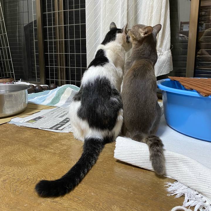 C6cee6ce 2239 4c9e 8455 1356b95133c6 1630330839820