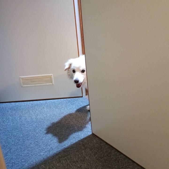 C6cee9f1 ba43 4eb4 bc8b c515f60be887 1754771140265