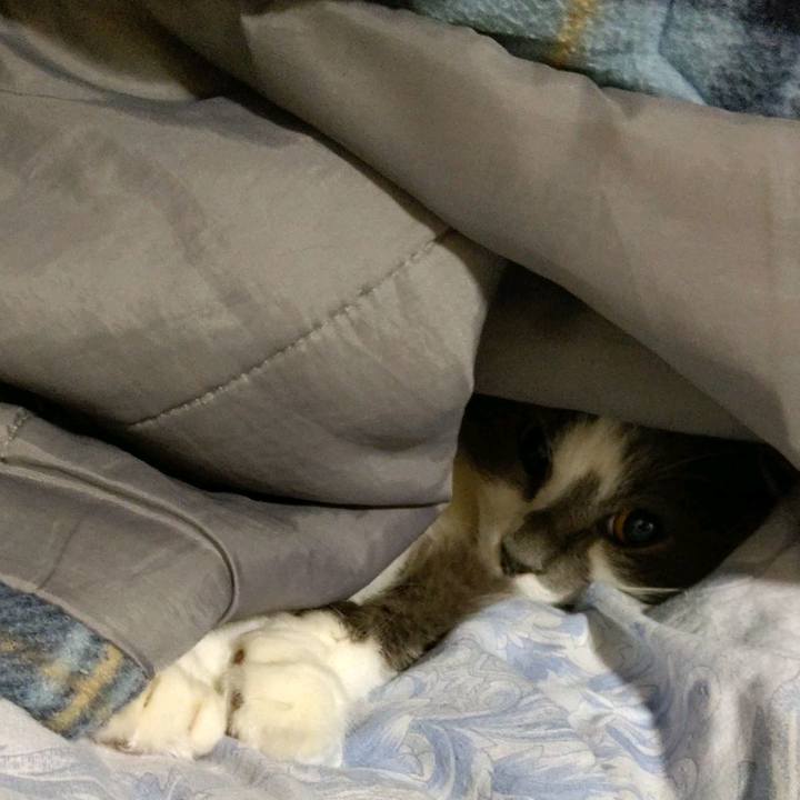 C6cef07f 102c 47bd 8342 030cf649f4e4 1610355734937