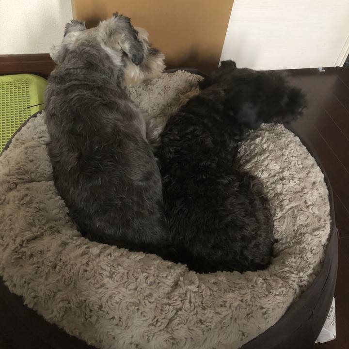 C6cefeb2 d00b 4461 9f3a 2efc577ed39b 1566978617656