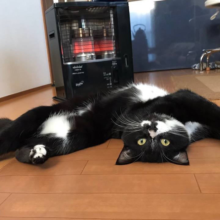 C6cf075f fbac 44c3 a713 2efe8fd834fc 1513419086838