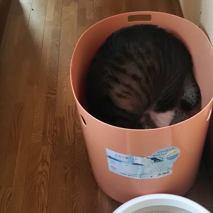 C6cf3983 89ee 4127 bda1 f3e399a1a7fd 1610097616884