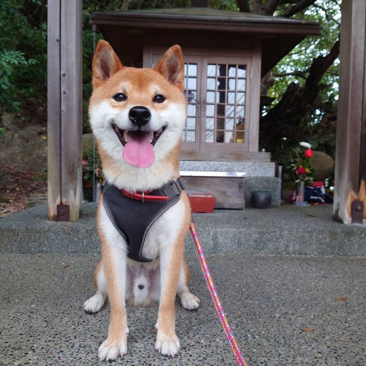 C6cf3d6d 680e 49b5 8b83 cc2d2197775b 1755931341865