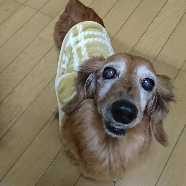 C6cf5552 7aea 4a83 9949 3d961f9e41bb 1514621411441