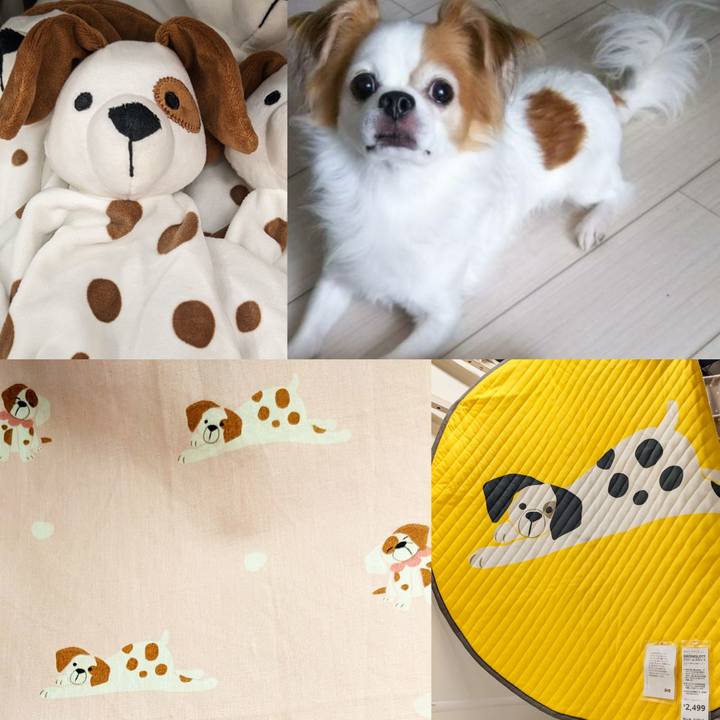 C6cf6dd6 b97d 47a6 bd7d 4dba4d2cca77 1696071145609