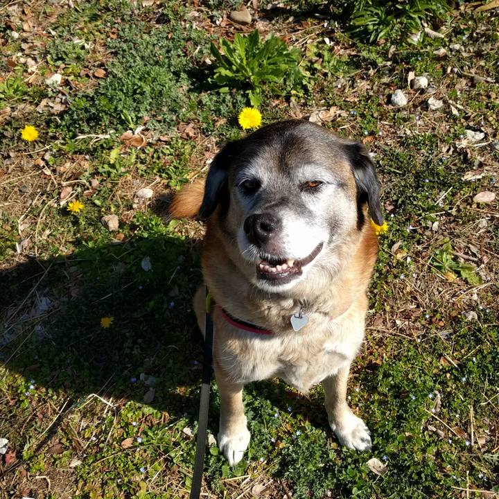 C6cf861b dd28 4993 ac7a 9c5ee88dd878 1552436158883