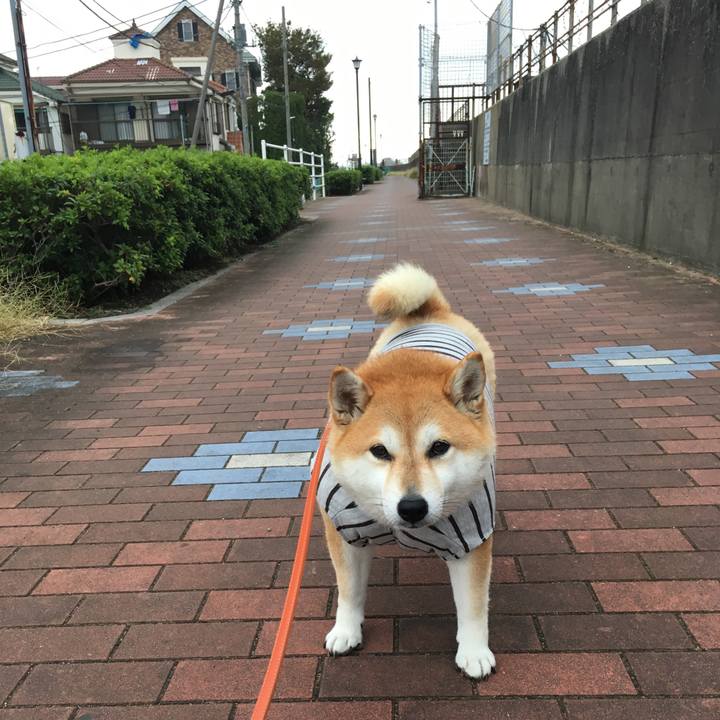 C6cf9c95 ea8c 4a8f ab7c afa165e7f4c8 1570317671258