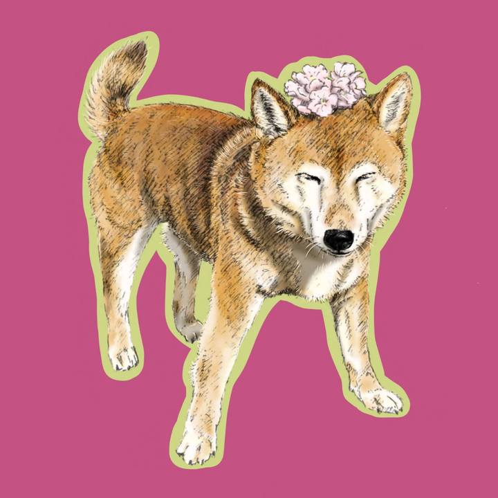 C6cfc7d2 dd00 4ac7 82a7 228cf9321bdc 1660056019811