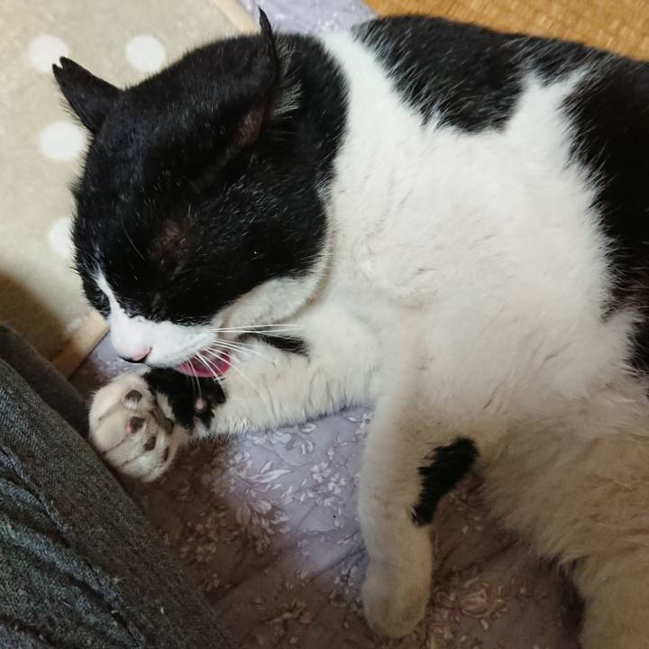 C6cff26c b9f4 466e be96 714751c479bd 1555587117862