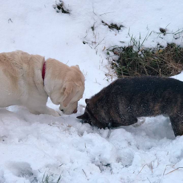 C6d02584 8567 492c 863e 34e5d1551157 1546049636791