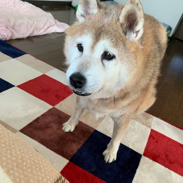 C6d03448 ffe4 4676 89c4 37f34482418b 1634965727738