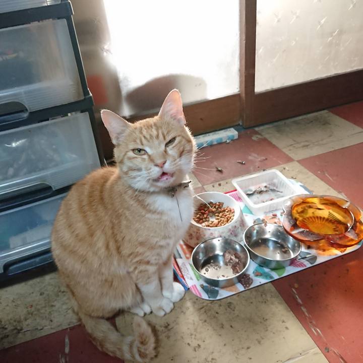 C6d05006 3833 4654 a1bb cffaa7e901ff 1590181427020