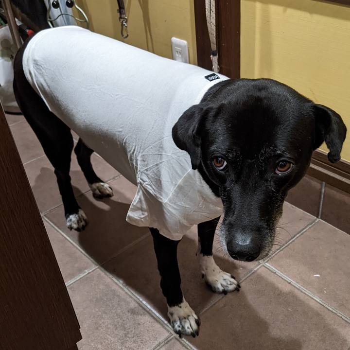 C6d052ed f621 4290 ac0f 2c617b7bd68d 1703502687575