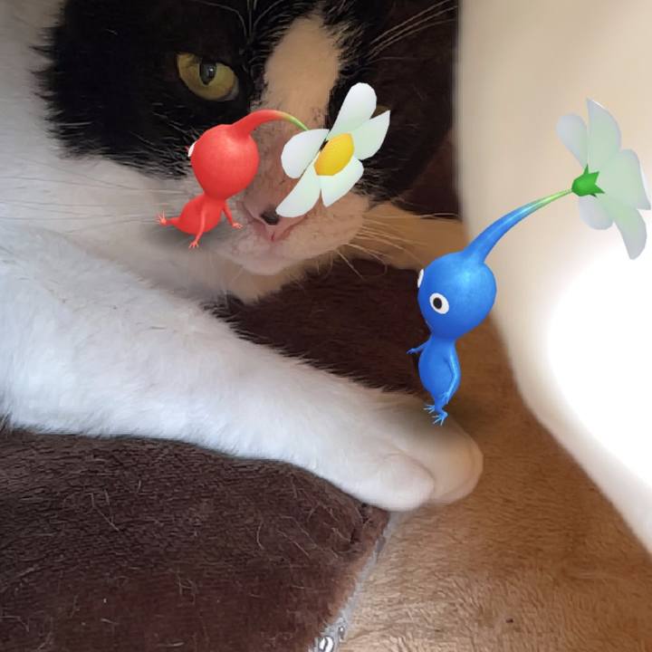 C6d0780e 05be 4e9d b89d 92a3d1c2dbd5 1640322949462