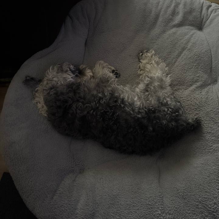 C6d0796f 0e42 4be9 ba16 83b4e3a4ba92 1772420852215