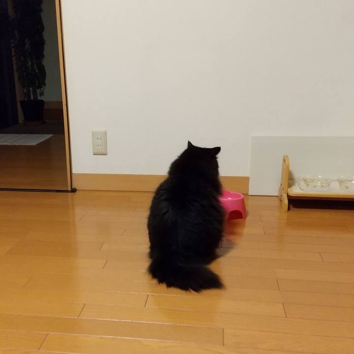 C6d0bc66 3c72 4c4b a17b ab6a06a49a2c 1600075243714