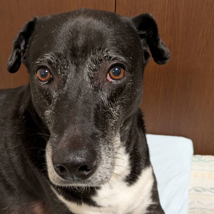 C6d0cb7c d786 40d5 ad0b 7d6d0225ae43 1751633616664