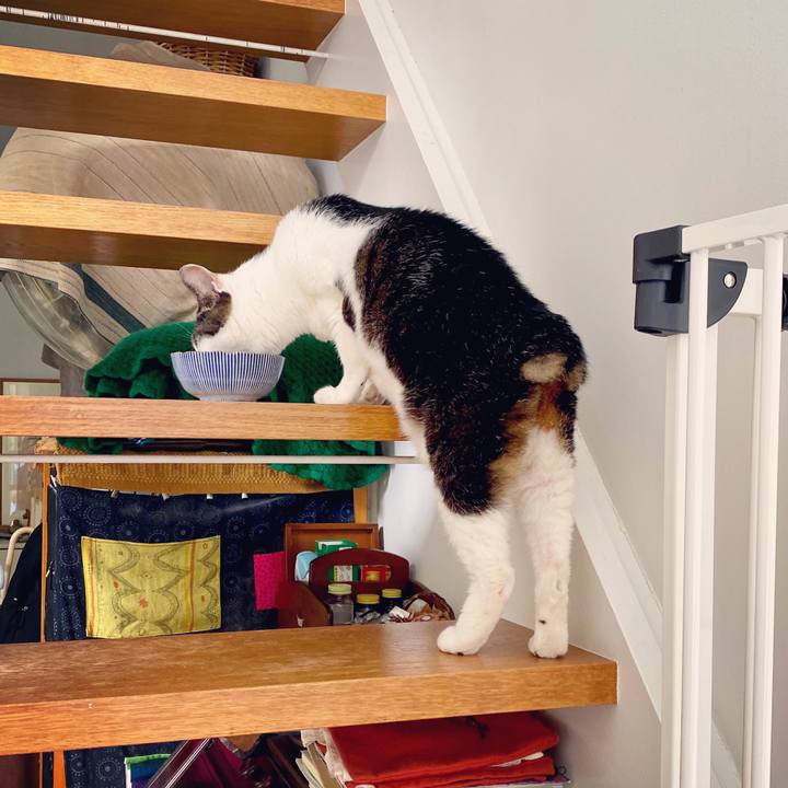 C6d0cf80 0194 4b94 b12d 48de122c6333 1598320243230