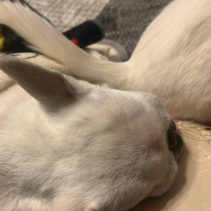 C6d0e3e1 8512 4243 82b1 cc86420f1ccd 1741866089693