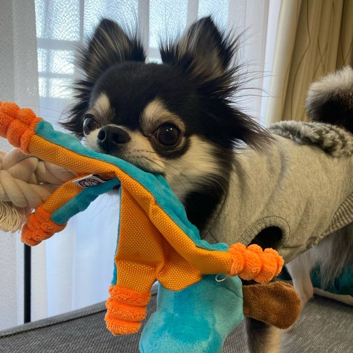 C6d0f5c8 6408 4be7 99a5 61fe00b78787 1638680565392