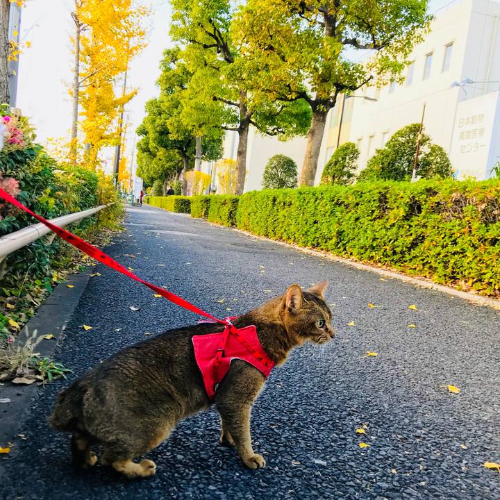 C6d102f4 d6dc 4cf9 9ccf 08497dc3f986 1764138975518