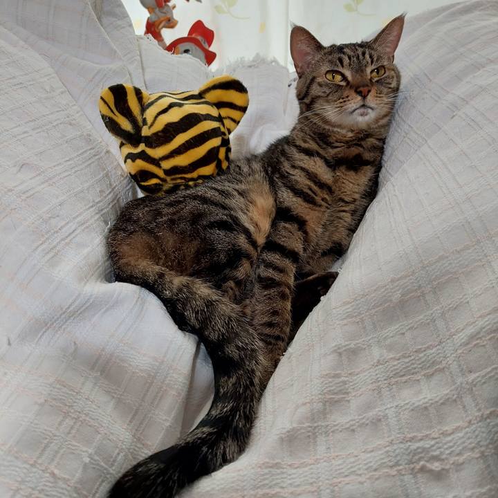 C6d115b6 6fb8 4c38 8801 c423f4b32212 1641083495825