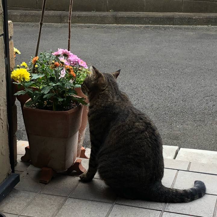 C6d14d3a c825 4fa6 b7ff 37969ddf0868 1538999346700