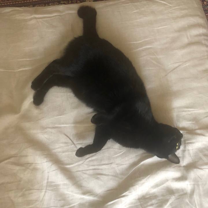 C6d18b21 1661 4146 840f eb6597ab8944 1556664523008