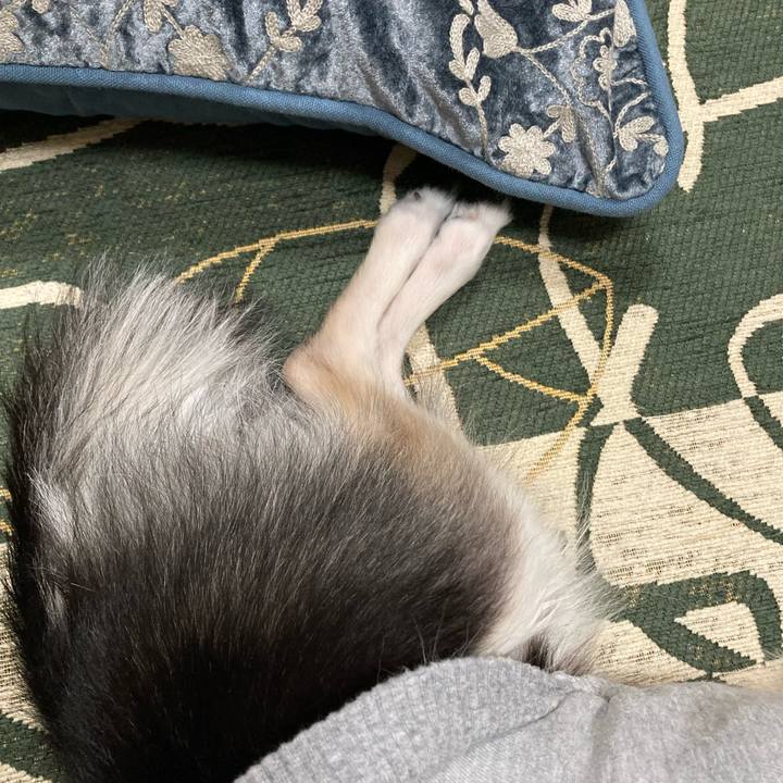 C6d18b65 c108 44c4 9528 411e71b1eed9 1642252996012