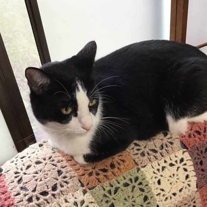 C6d19905 ed3c 41ce b77a 4337e263ac89 1728096747599