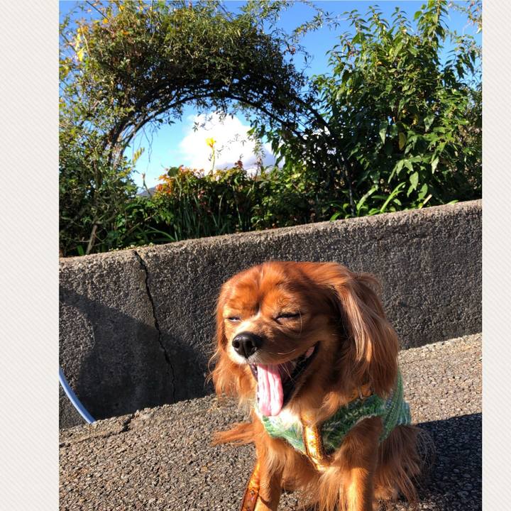 C6d1ec04 2ccd 4f56 837c 0bdce0350c13 1606091376556