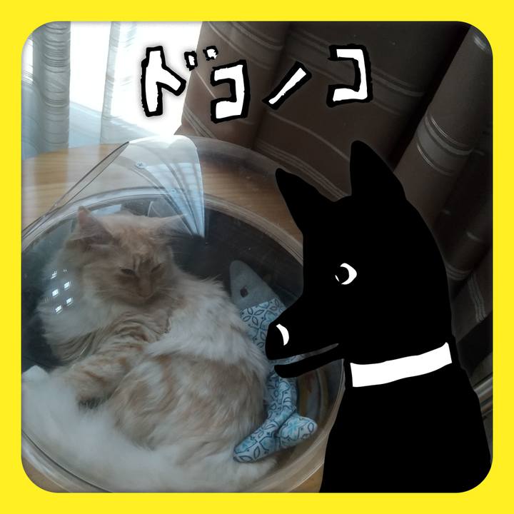 C6d1fbf2 3243 4136 8d3e bb922e9b8c08 1623208585090