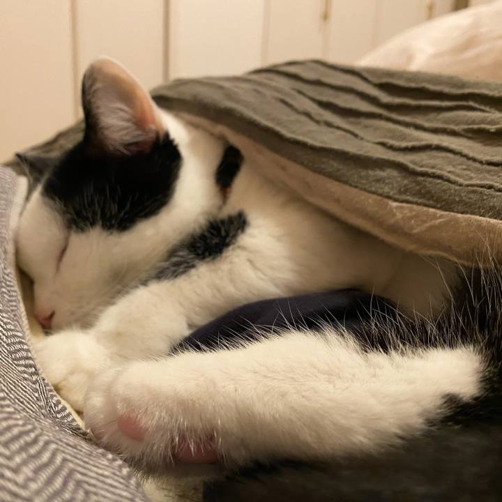 C6d2334a 0e19 467c b38c e2b62d583b43 1764715634562