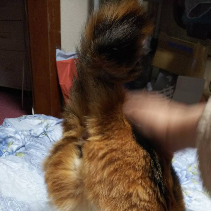 C6d233d5 f7eb 4ea0 a724 e3239f0a731f 1549313197740