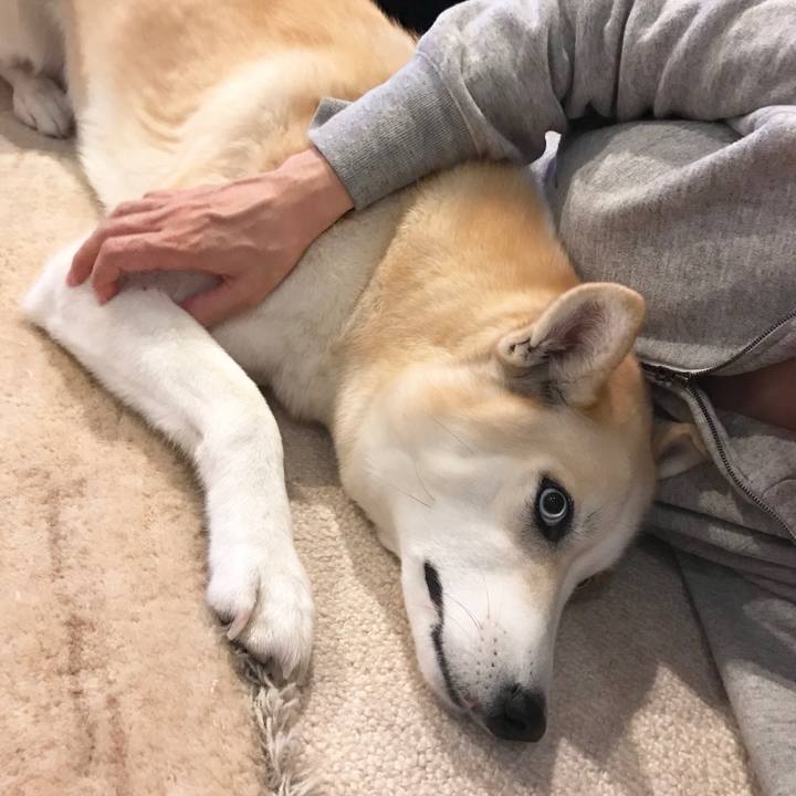 C6d23e63 a5f8 4a1e a405 348cce453d64 1544357400802