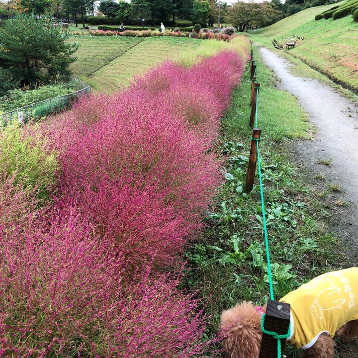 C6d23fe5 1033 4a1c a84a f652ad70404f 1570538609123