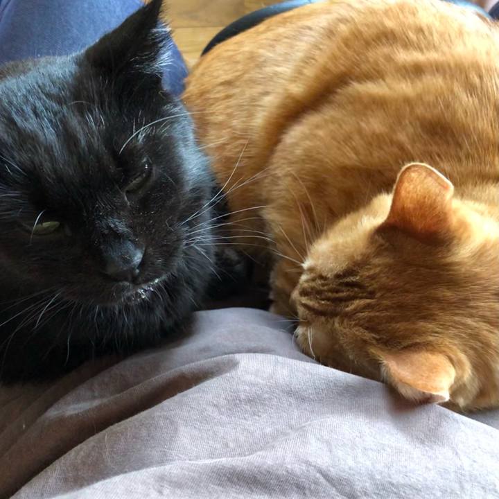 C6d24a2f eac2 4abb 9f69 190cdb54a8c4 1637205752327