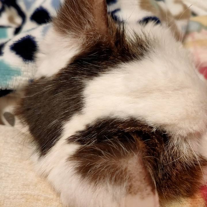 C6d253b9 800e 48ac b05b 1ab2fde2a39f 1618155495639