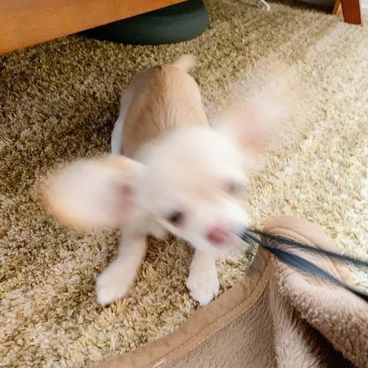 C6d258a5 c88c 4d10 87da 650eb20b59b6 1595989384869