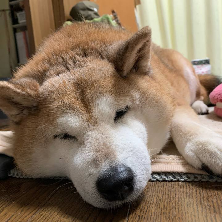 C6d2590d 3c27 4d50 91d7 c7346b03f8b5 1590328678936