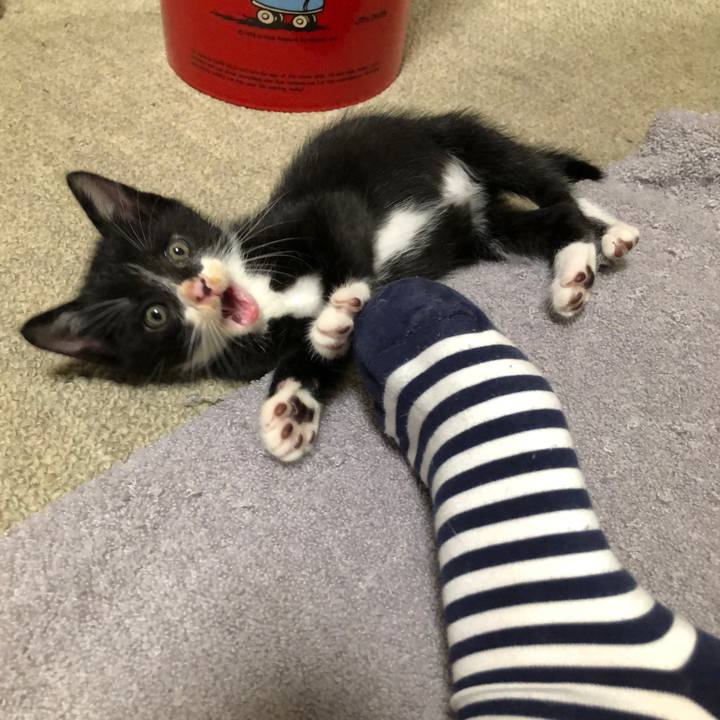 C6d32df8 729d 4ab2 8dd3 c2052568d491 1537593120423