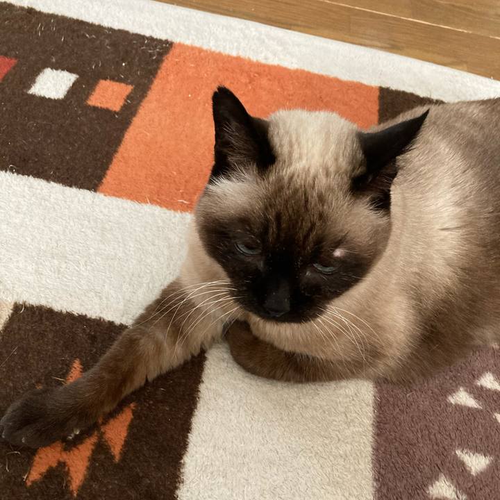 C6d34e65 5aef 42c6 a0c6 58fdf3e01d7e 1611717117416