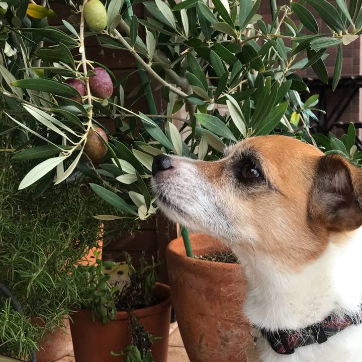 C6d3562f 6114 4f9d 8934 d12614ad29ba 1538553776794