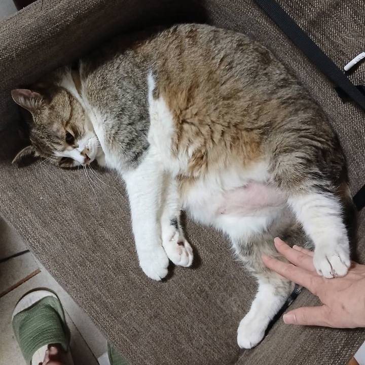 C6d3587e cd1c 4967 86f9 adcf5549e517 1750689762804