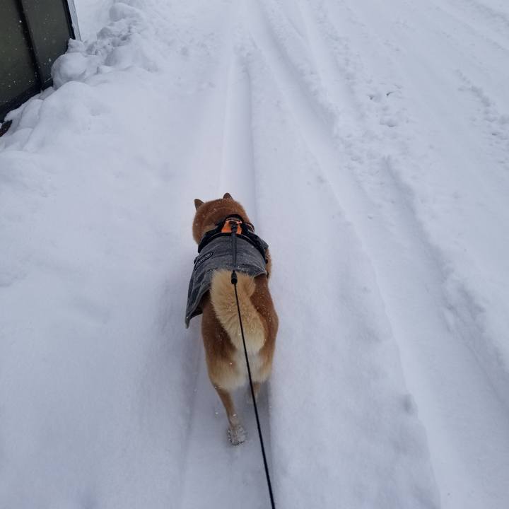 C6d3773d a9fe 4ee7 b2fd 86e69663e48c 1734843140986