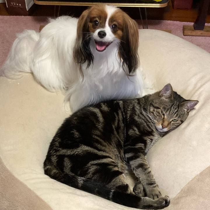 C6d3de9c 672b 4cbe b662 f78f6289bafa 1661078088076