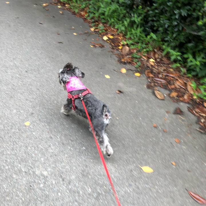 C6d40aea 97df 443b 80bc 1688fd64f0eb 1563671099339